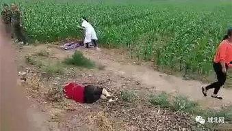 藁城爆料最新事件,突发冲突引发社会关注